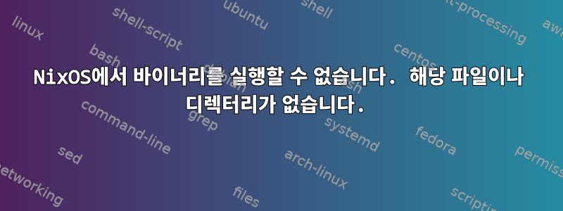 NixOS에서 바이너리를 실행할 수 없습니다. 해당 파일이나 디렉터리가 없습니다.