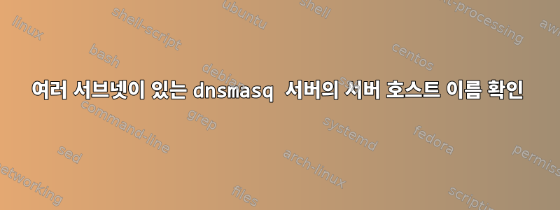 여러 서브넷이 있는 dnsmasq 서버의 서버 호스트 이름 확인