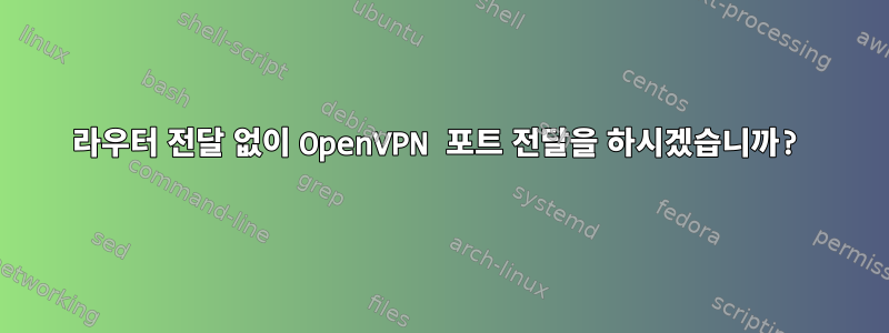 라우터 전달 없이 OpenVPN 포트 전달을 하시겠습니까?