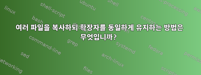 여러 파일을 복사하되 확장자를 동일하게 유지하는 방법은 무엇입니까?