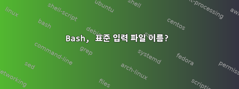 Bash, 표준 입력 파일 이름?