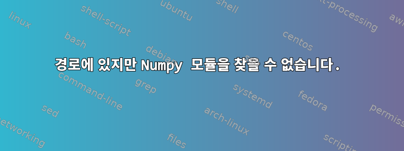 경로에 있지만 Numpy 모듈을 찾을 수 없습니다.