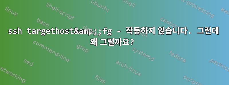 ssh targethost&amp;;fg - 작동하지 않습니다. 그런데 왜 그럴까요?