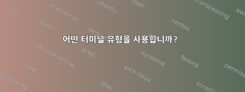 어떤 터미널 유형을 사용합니까?