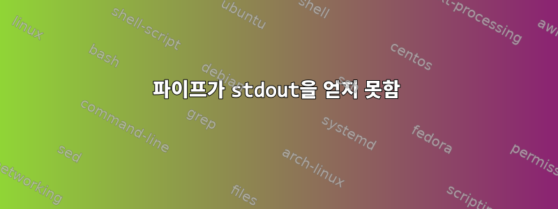 파이프가 stdout을 얻지 못함