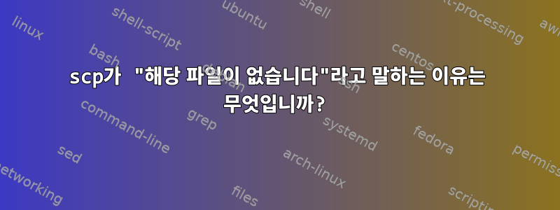 scp가 "해당 파일이 없습니다"라고 말하는 이유는 무엇입니까?