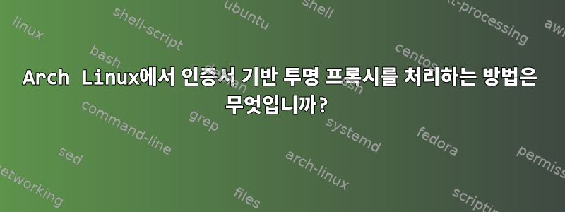 Arch Linux에서 인증서 기반 투명 프록시를 처리하는 방법은 무엇입니까?