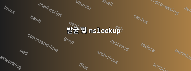 발굴 및 nslookup