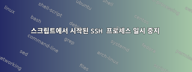 스크립트에서 시작된 SSH 프로세스 일시 중지