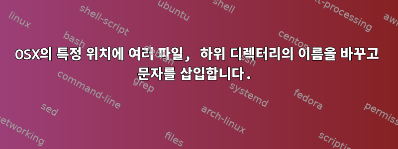 OSX의 특정 위치에 여러 파일, 하위 디렉터리의 이름을 바꾸고 문자를 삽입합니다.