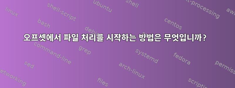 오프셋에서 파일 처리를 시작하는 방법은 무엇입니까?