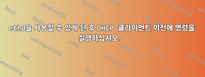 eth0을 사용할 수 있게 된 후 DHCP 클라이언트 이전에 명령을 실행하십시오.