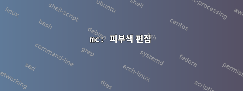 mc: 피부색 편집