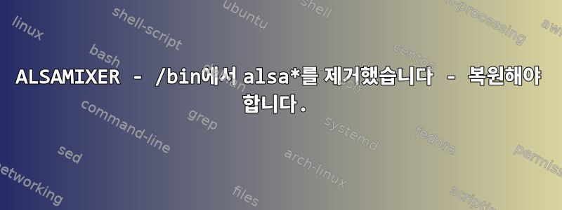 ALSAMIXER - /bin에서 alsa*를 제거했습니다 - 복원해야 합니다.