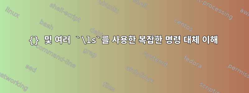 {} 및 여러 `\ls`를 사용한 복잡한 명령 대체 이해