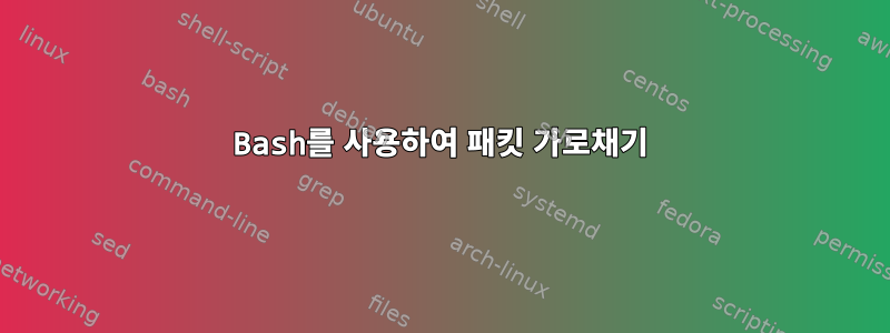 Bash를 사용하여 패킷 가로채기