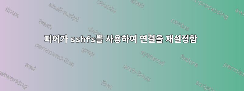 피어가 sshfs를 사용하여 연결을 재설정함