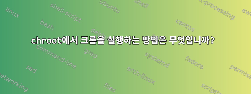 chroot에서 크롬을 실행하는 방법은 무엇입니까?