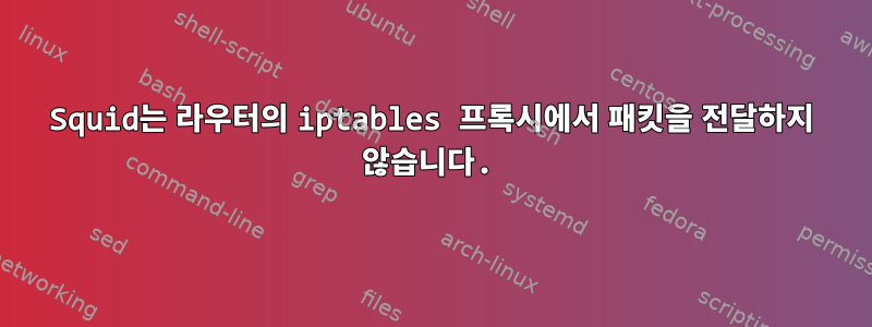 Squid는 라우터의 iptables 프록시에서 패킷을 전달하지 않습니다.