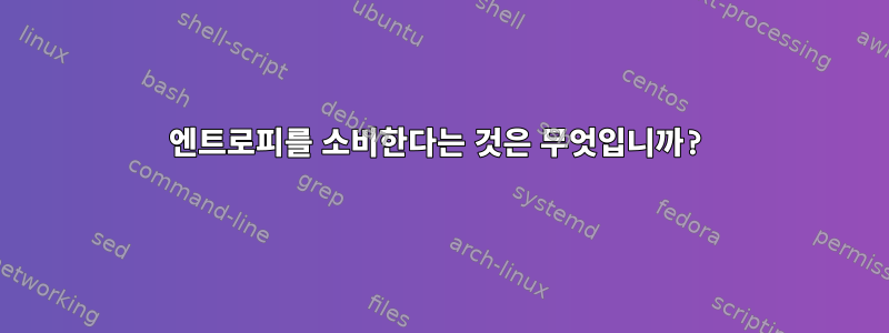 엔트로피를 소비한다는 것은 무엇입니까?