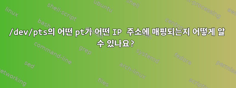 /dev/pts의 어떤 pt가 어떤 IP 주소에 매핑되는지 어떻게 알 수 있나요?