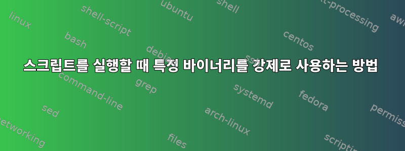 스크립트를 실행할 때 특정 바이너리를 강제로 사용하는 방법