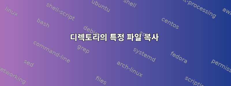 디렉토리의 특정 파일 복사