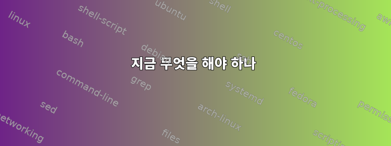 지금 무엇을 해야 하나