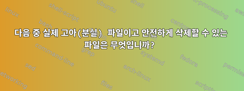 다음 중 실제 고아(분실) 파일이고 안전하게 삭제할 수 있는 파일은 무엇입니까?