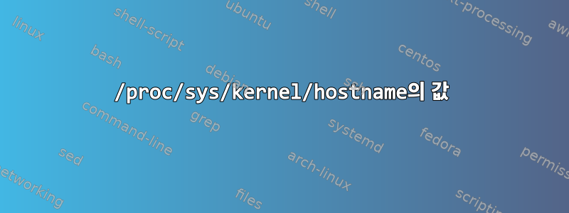 /proc/sys/kernel/hostname의 값