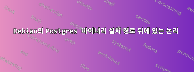 Debian의 Postgres 바이너리 설치 경로 뒤에 있는 논리