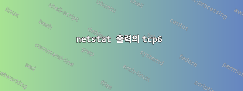 netstat 출력의 tcp6