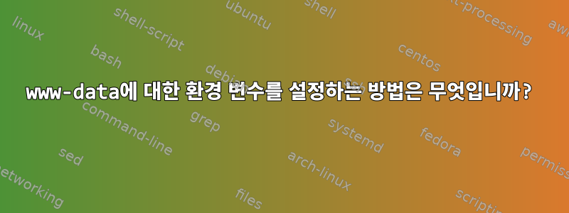 www-data에 대한 환경 변수를 설정하는 방법은 무엇입니까?