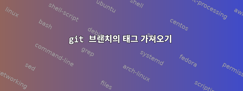 git 브랜치의 태그 가져오기