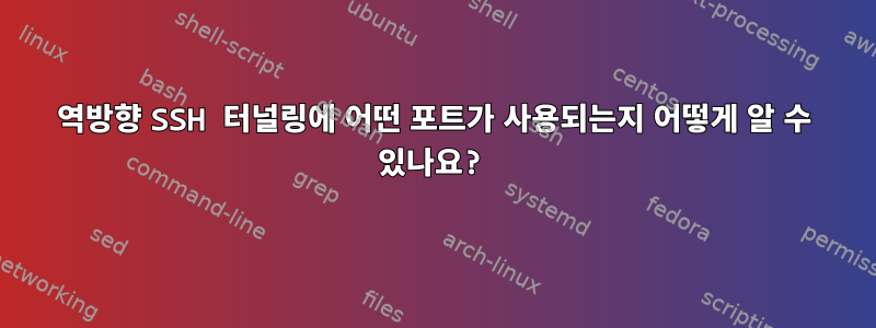 역방향 SSH 터널링에 어떤 포트가 사용되는지 어떻게 알 수 있나요?