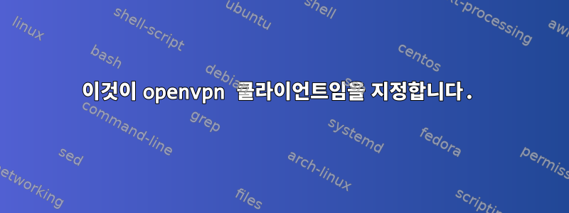 이것이 openvpn 클라이언트임을 지정합니다.