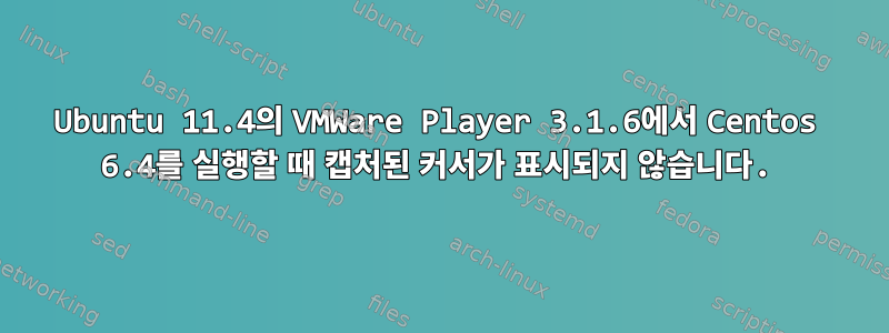 Ubuntu 11.4의 VMWare Player 3.1.6에서 Centos 6.4를 실행할 때 캡처된 커서가 표시되지 않습니다.