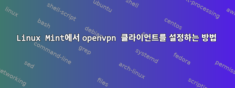 Linux Mint에서 openvpn 클라이언트를 설정하는 방법