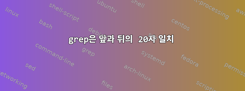 grep은 앞과 뒤의 20자 일치