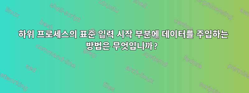 하위 프로세스의 표준 입력 시작 부분에 데이터를 주입하는 방법은 무엇입니까?