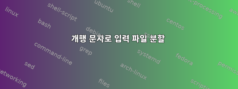 개행 문자로 입력 파일 분할