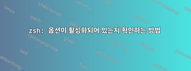 zsh: 옵션이 활성화되어 있는지 확인하는 방법