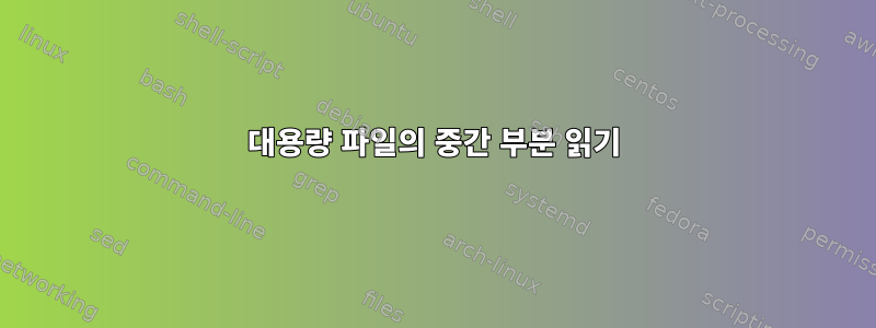 대용량 파일의 중간 부분 읽기