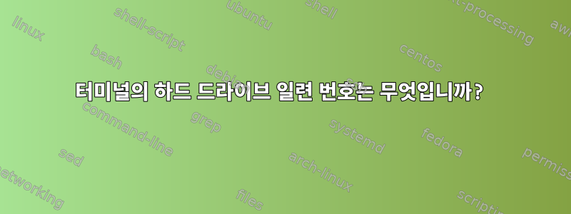 터미널의 하드 드라이브 일련 번호는 무엇입니까?