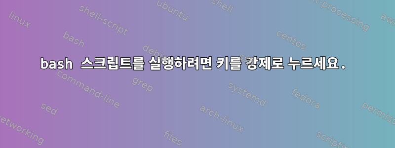 bash 스크립트를 실행하려면 키를 강제로 누르세요.