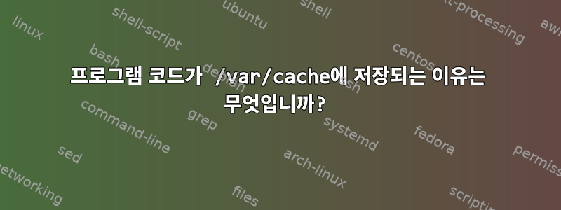 프로그램 코드가 /var/cache에 저장되는 이유는 무엇입니까?