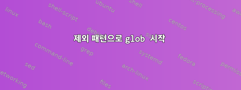 제외 패턴으로 glob 시작