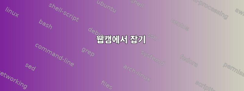 웹캠에서 잡기