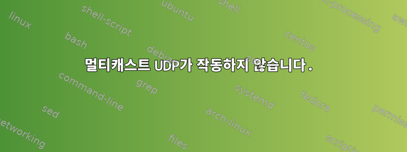 멀티캐스트 UDP가 작동하지 않습니다.