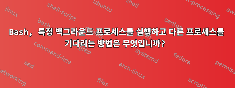 Bash, 특정 백그라운드 프로세스를 실행하고 다른 프로세스를 기다리는 방법은 무엇입니까?